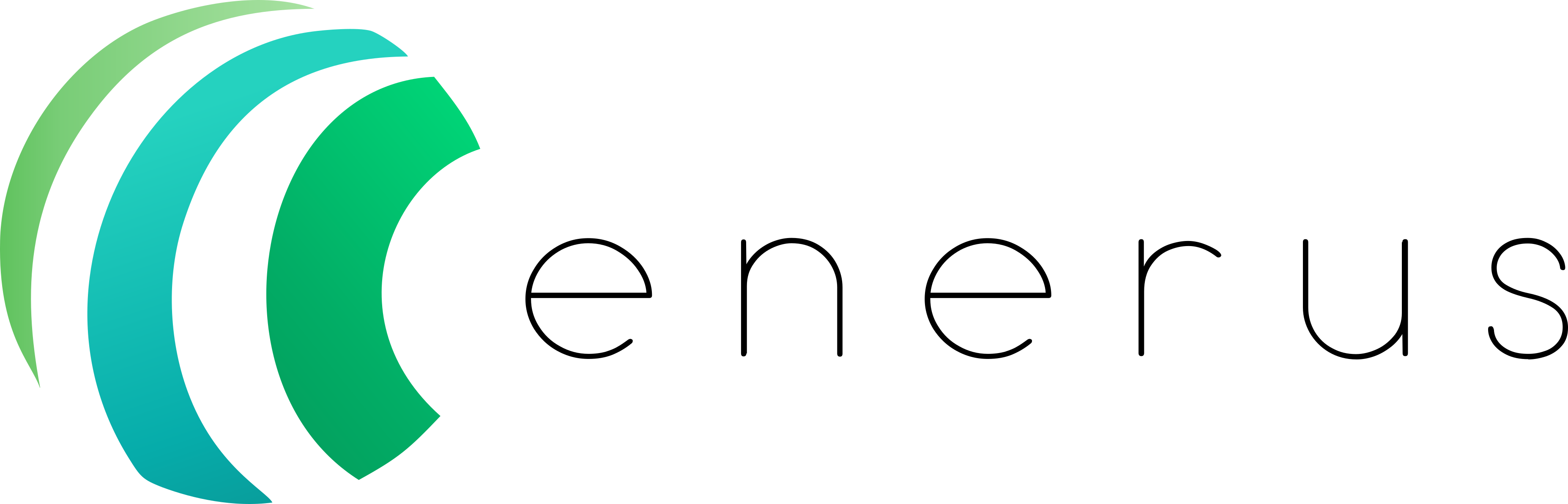 Enerus website logo